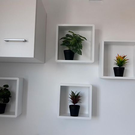 Joli Appartement, Piscine, Jacuzzi Sainte-Suzanne 외부 사진
